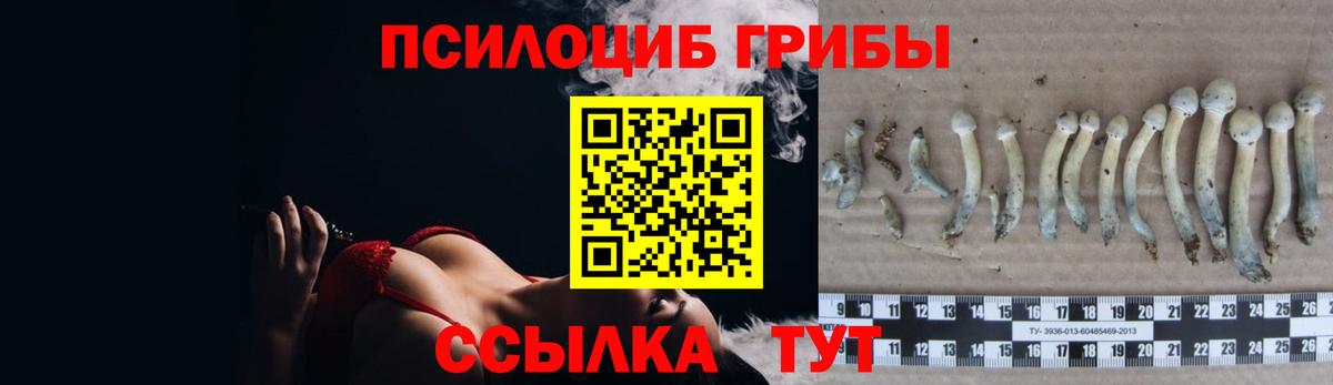 Галлюциногенные грибы мухоморы Бугульма